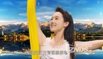 盲少爷的小女仆,一段跨越命运的守护传奇