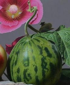 红肥绿瘦,探寻生态与经济的和谐共生之道