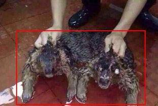 水鬼  2023,探寻时尚与复古的完美融合