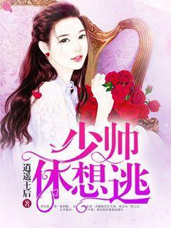 枪与玫瑰：少帅的逃爱游戏,少帅的逃爱迷局